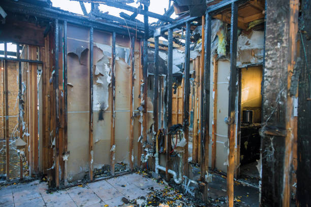 Professional Fire Damage Removal technician working in Nerstrand, MN