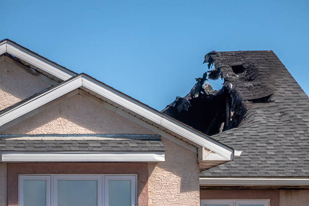 Top rated local Fire Damage Removal specialists in Nerstrand, MN